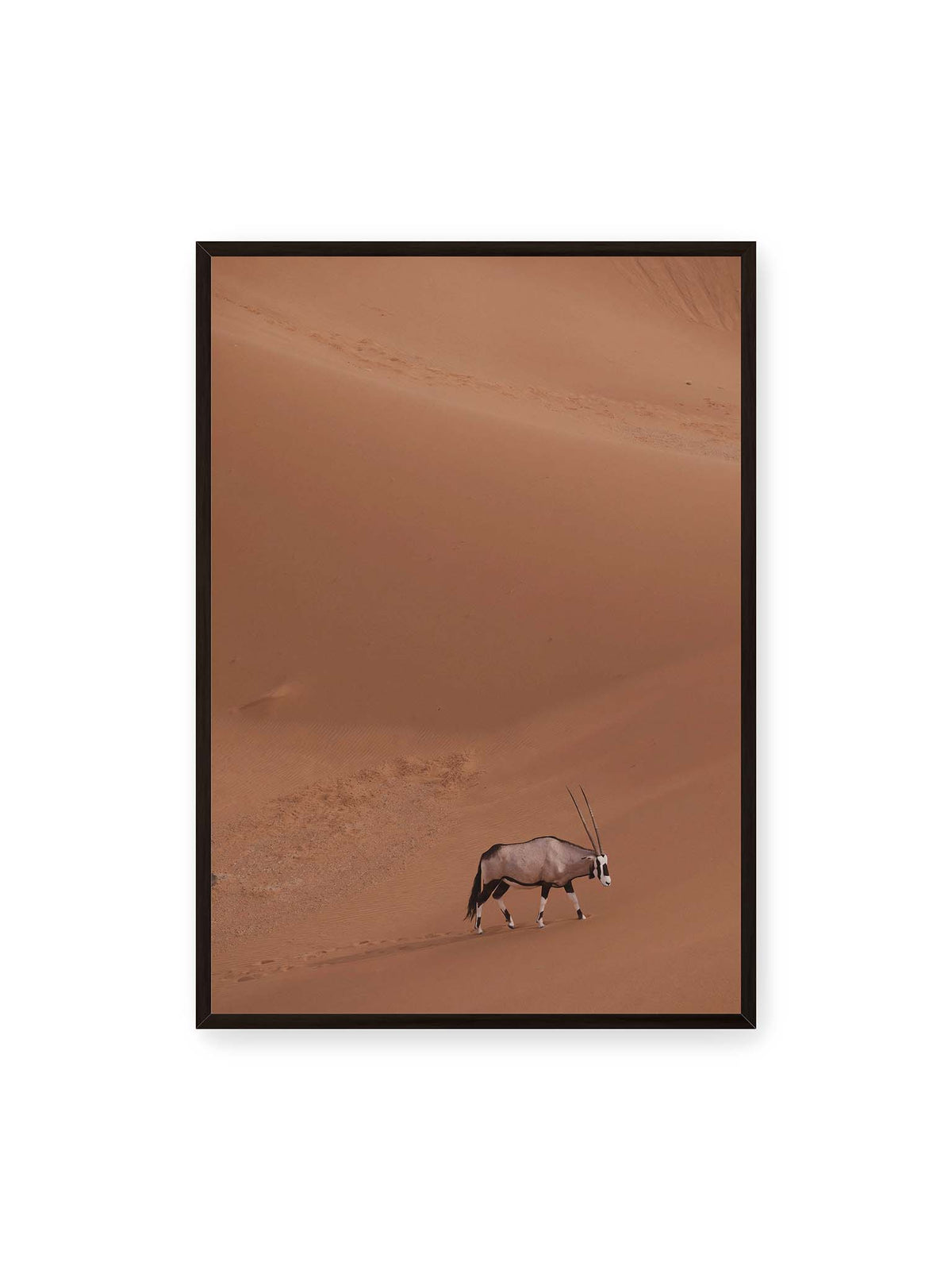 70x100 cm, schwarzer Rahmen – Einzelne Oryxantilope mit langen Hörnern läuft durch eine weite, braune Dünenlandschaft.