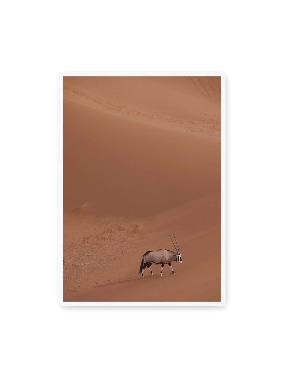 70x100 cm, weißer Rahmen – Einzelne Oryxantilope mit langen Hörnern läuft durch eine weite, braune Dünenlandschaft.