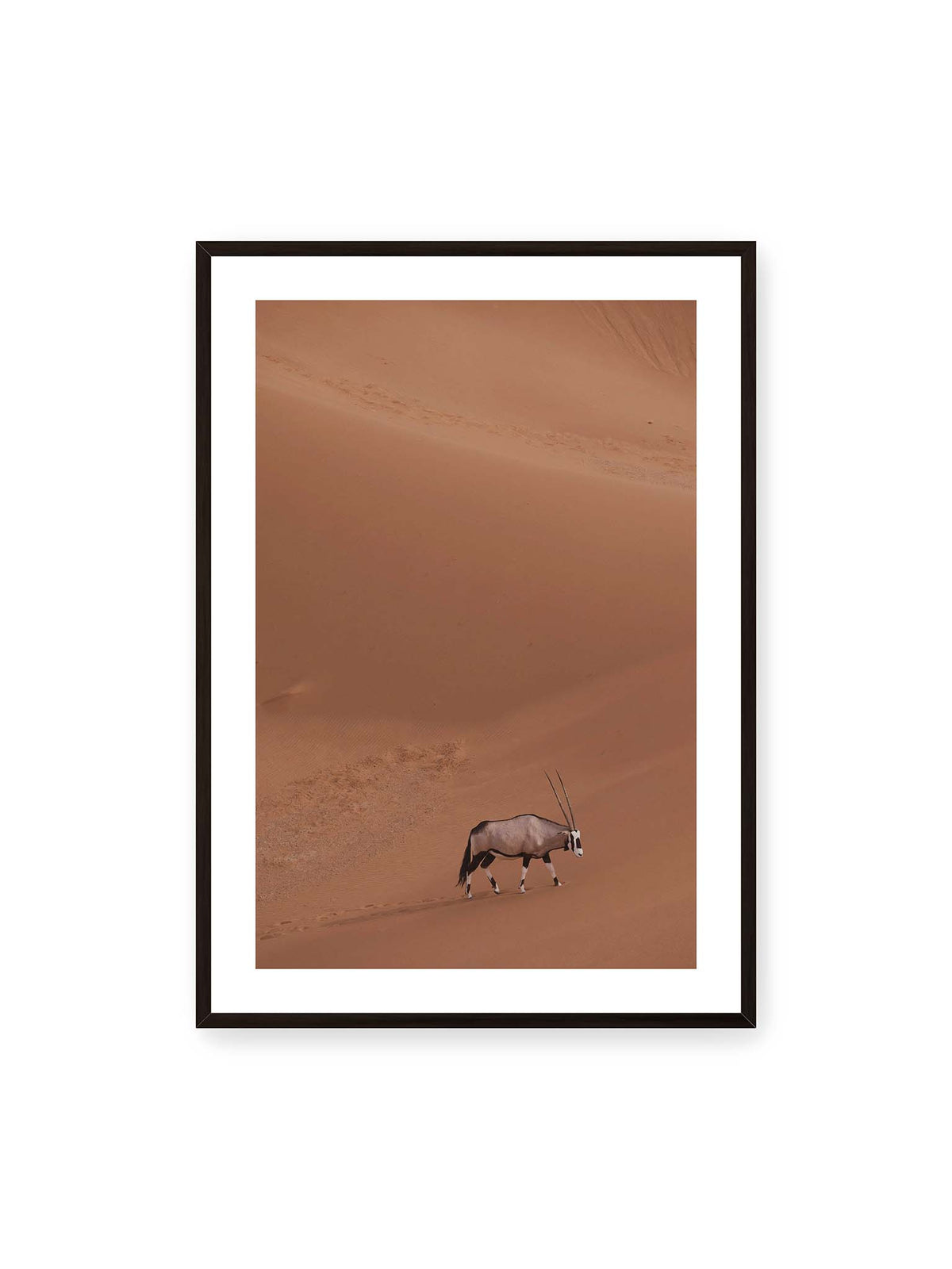 70x100 cm, weißer Galerie-Rand, schwarzer Rahmen – Einzelne Oryxantilope mit langen Hörnern läuft durch eine weite, braune Dünenlandschaft.