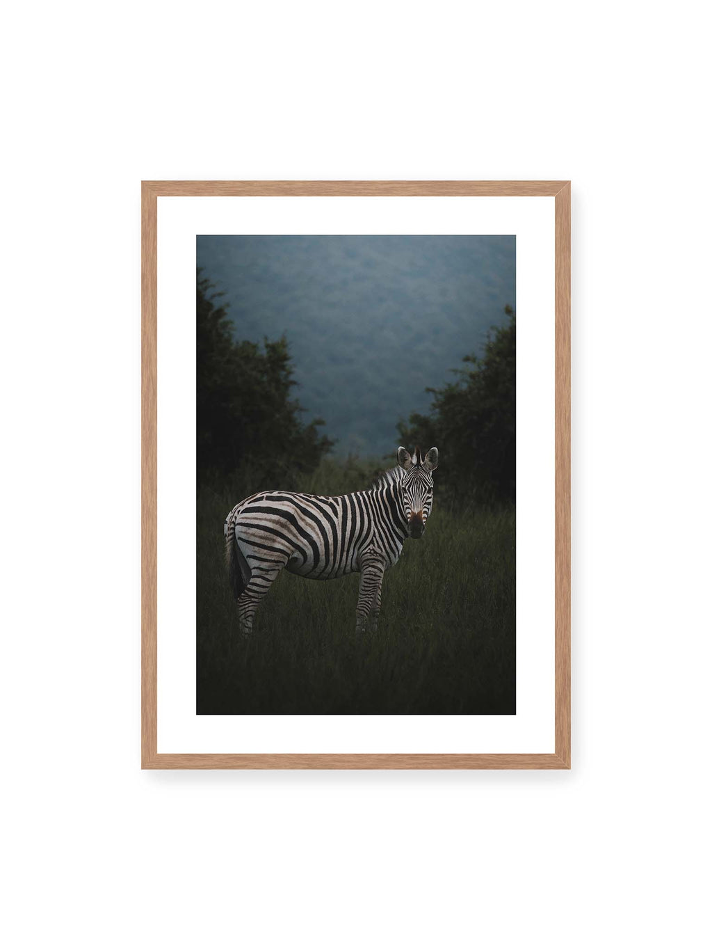Stripes in Shadow